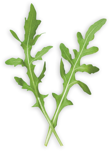 8611b9ea379740566aa52fc8d9b6fc007b91b632